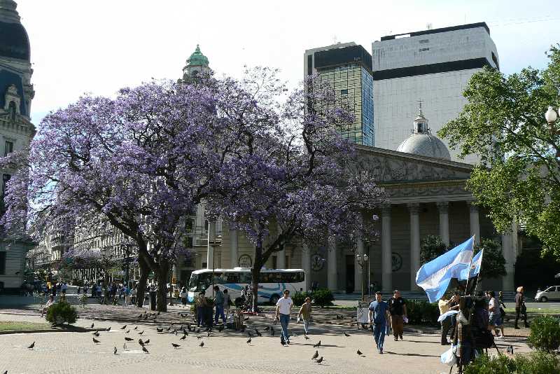 03 Plaza de Mayo